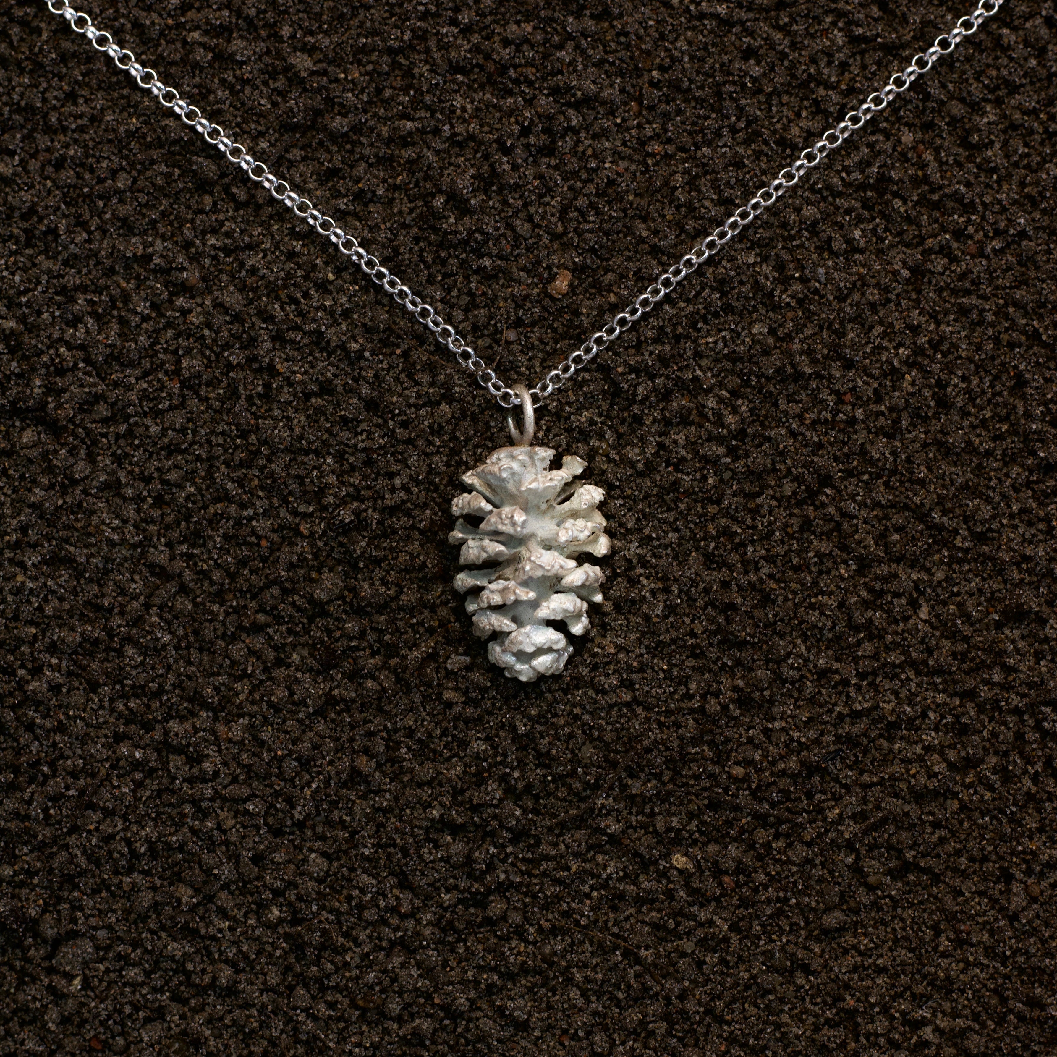 Alder cone